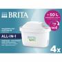 Brita 1