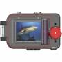 Sealife 7