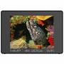 Sealife 4