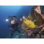 Sealife 2