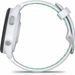 Garmin 1
