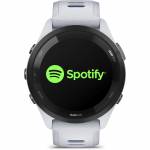 Garmin 10