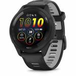 Garmin 10