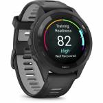 Garmin 6