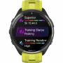 Garmin 15