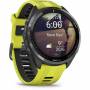 Garmin 10