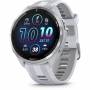 Garmin 15