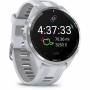 Garmin 10