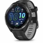 Garmin 6