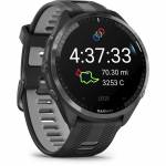 Garmin 1