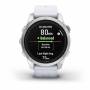 Garmin 12