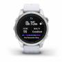 Garmin 10