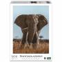 Ambassador - Afrikanischer Elefant 1000 Teile (Donal Boyd)