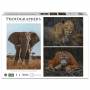 Ambassador - Wildtiere Blick- kontakt 3x1000 Teile (Donal Boyd