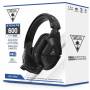 Turtle Beach 1