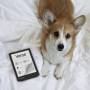 Pocketbook 1