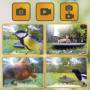 Easypix 1