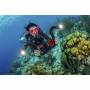 Sealife 5
