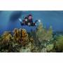 Sealife 4