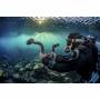 Sealife 2