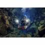 Sealife 1
