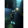 Sealife 1