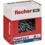 Fischer 1