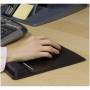 Fellowes 1