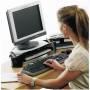 Fellowes 1