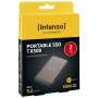 Intenso 2