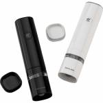 Zwilling 1