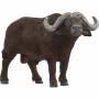 Schleich - Wild Life Kaffernbffel, Spielfigur