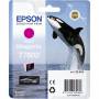 Epson - T7603 - Vivid Magenta - Original - Blisterverpackung - Tintenpatrone (C13T76034010) [EURO-Version]