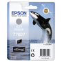 Epson - Tintenpatrone light black T 7607 [EURO-Version]