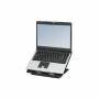 Fellowes 1