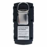 Ermenrich 5