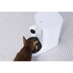 Petkit 4