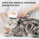 Petkit 1