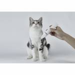 Petkit 3