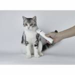 Petkit 2