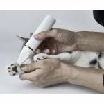 Petkit 1