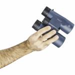 Bushnell 1
