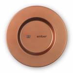 Ember Technologies, Inc. 11