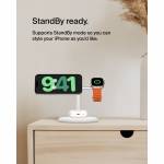 Belkin 1