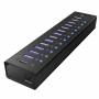 Icy Box - Raidsonic ICY BOX IB-AC6113 13-Port USB 3.0 Hub