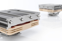 Noctua 3