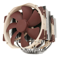 Noctua 1