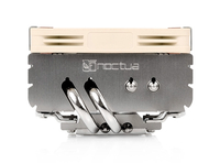 Noctua 1