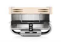 Noctua 4