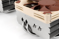 Noctua 6